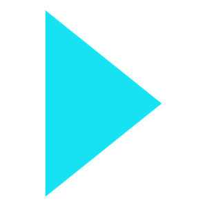 custom bullet point arrow vanteo (teal)