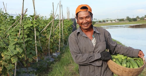 What is Clearview Certification, Why Does it Matter to Employers?