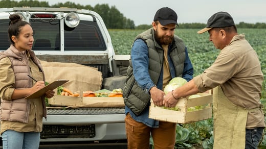 Harvest Hiring: H-2A Visas Help Your Fall Farm Labor Crunch