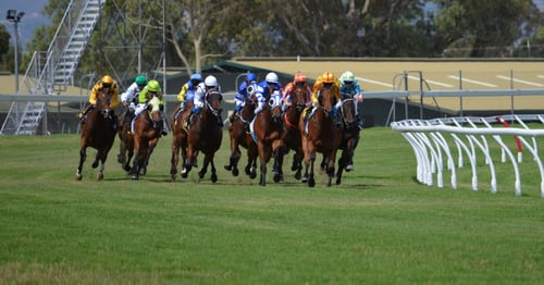 The Racetrack Staffing Crisis: Strategic Planning & H-2B Solutions