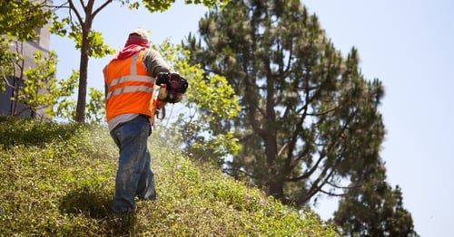 How to Build a Reliable Seasonal Crew for Your Landscaping Business