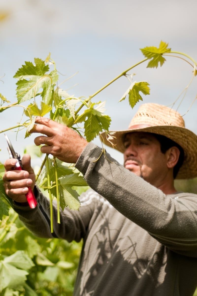 Ethical Hiring Matters for Long-Term Business Success