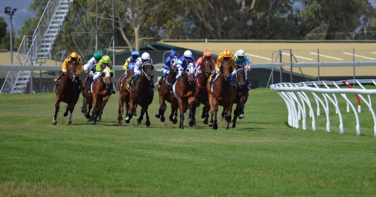 The Racetrack Staffing Crisis: Strategic Planning & H-2B Solutions